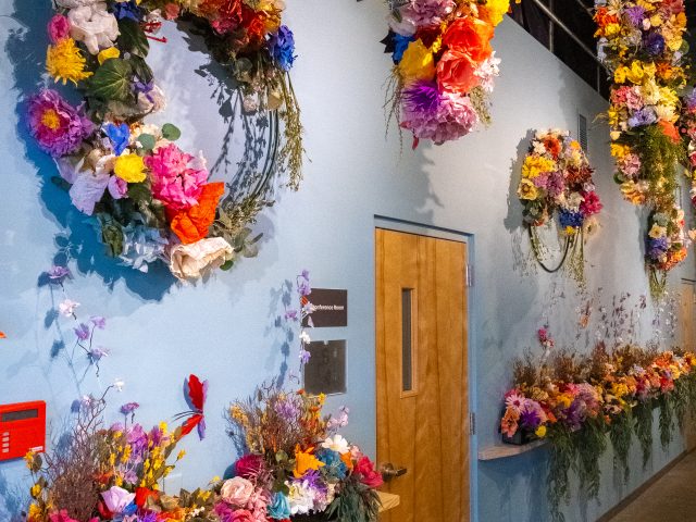 Saugatuck Center for the Arts Butterflies