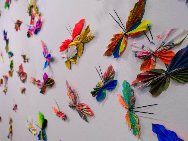 Saugatuck Center for the Arts Butterflies