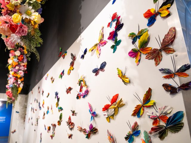 Saugatuck Center for the Arts Butterflies