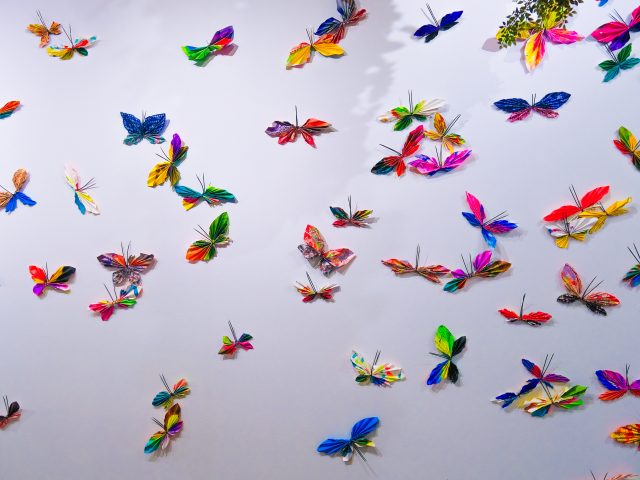 Saugatuck Center for the Arts Butterflies
