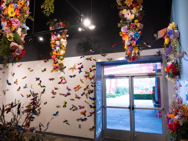 Saugatuck Center for the Arts Butterflies